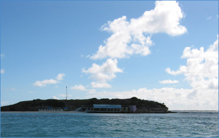 Prickly Pear Island, an Oasis in the Ocean